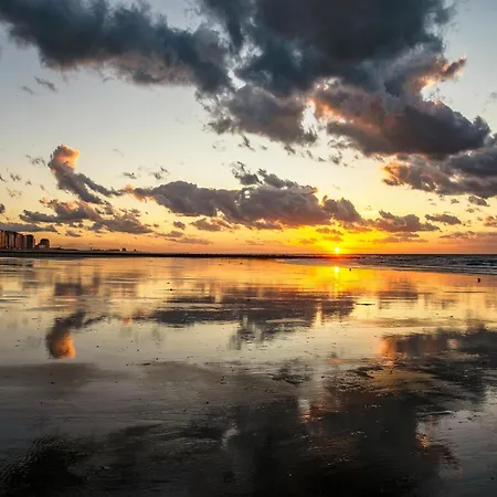 With Sea View And Parking Space *
